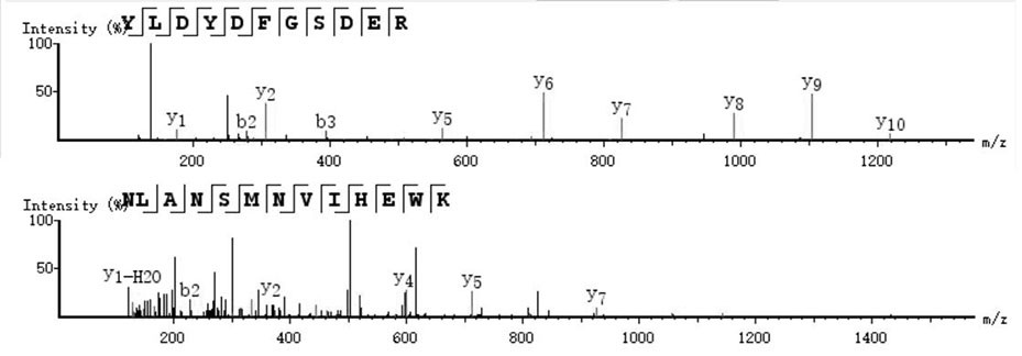 A liquid chromatography tandem mass spectrometry method for the detection of royal jelly major protein 5 in Italian honey and Chinese honey