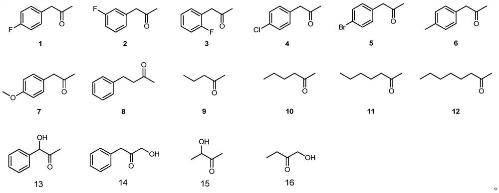 A mutant of amine dehydrogenase and its application in the synthesis of chiral amines and aminoalcohols