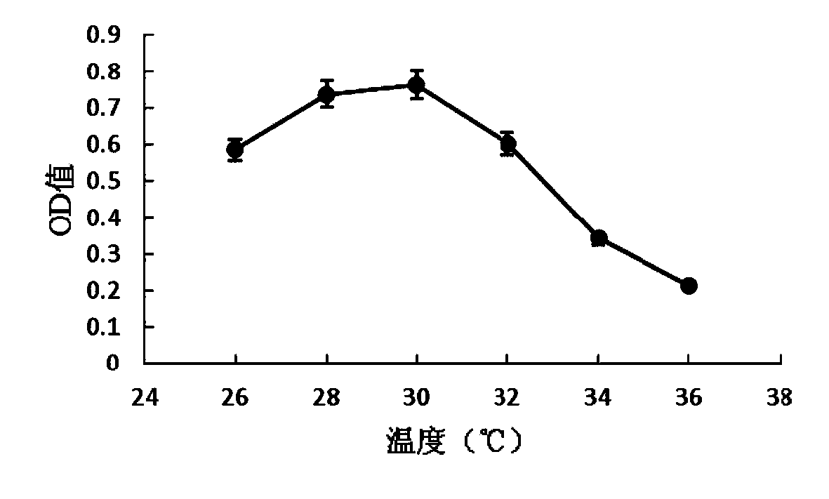 Uses of Wickerhamomyces anomalus T1 in flavoring of soy sauce, and flavoring process