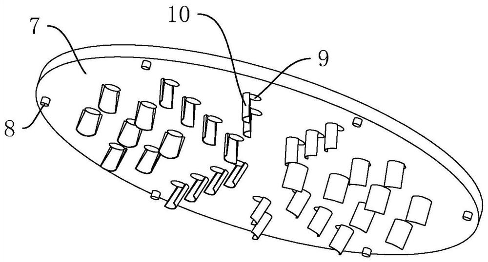 A plantar health device