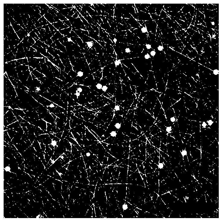 Radiation refrigeration fiber membrane and preparation method and application thereof