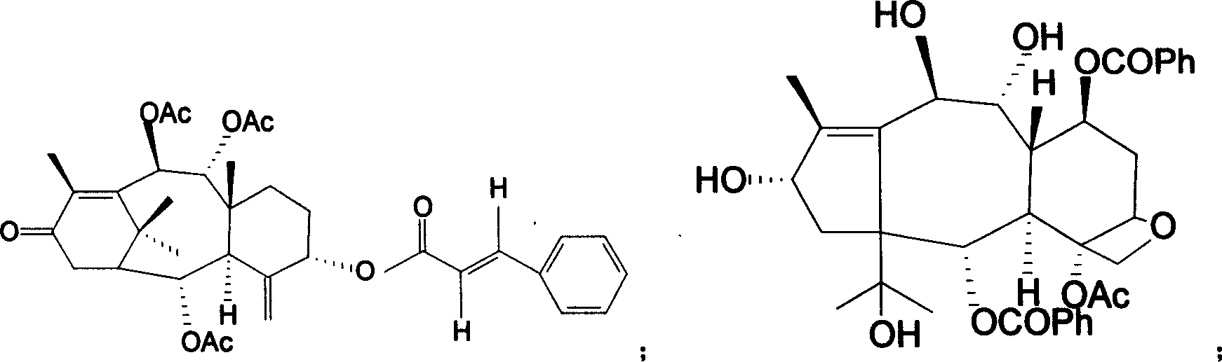 Yew genus plant extract and its extraction method and application