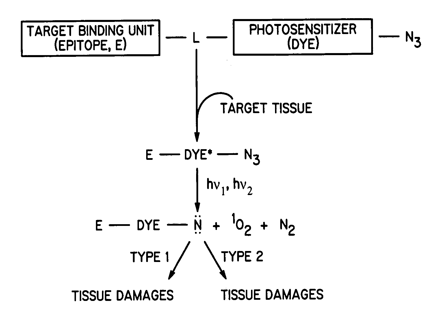 Compounds for dual photodiagnosis and therapy