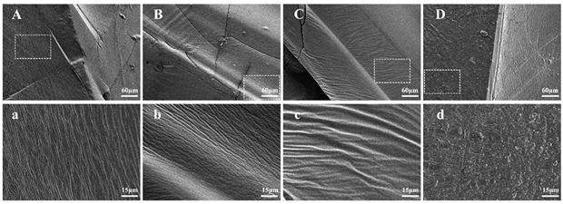 Antibacterial hemostatic membrane as well as preparation method and application thereof