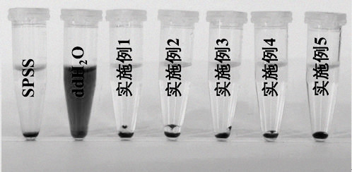 Antibacterial hemostatic membrane as well as preparation method and application thereof