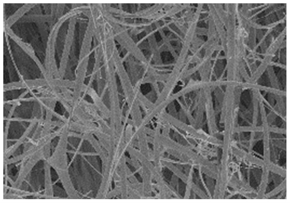 Fucoxanthin composite nanofiber and preparation method thereof