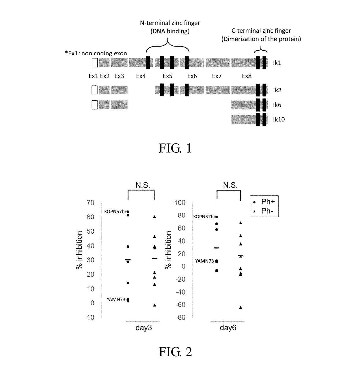 Therapeutic agent or treatment method for philadelphia chromosome-positive (ph+) acute lymphocytic leukemia (ALL) having ikzf1 mutation