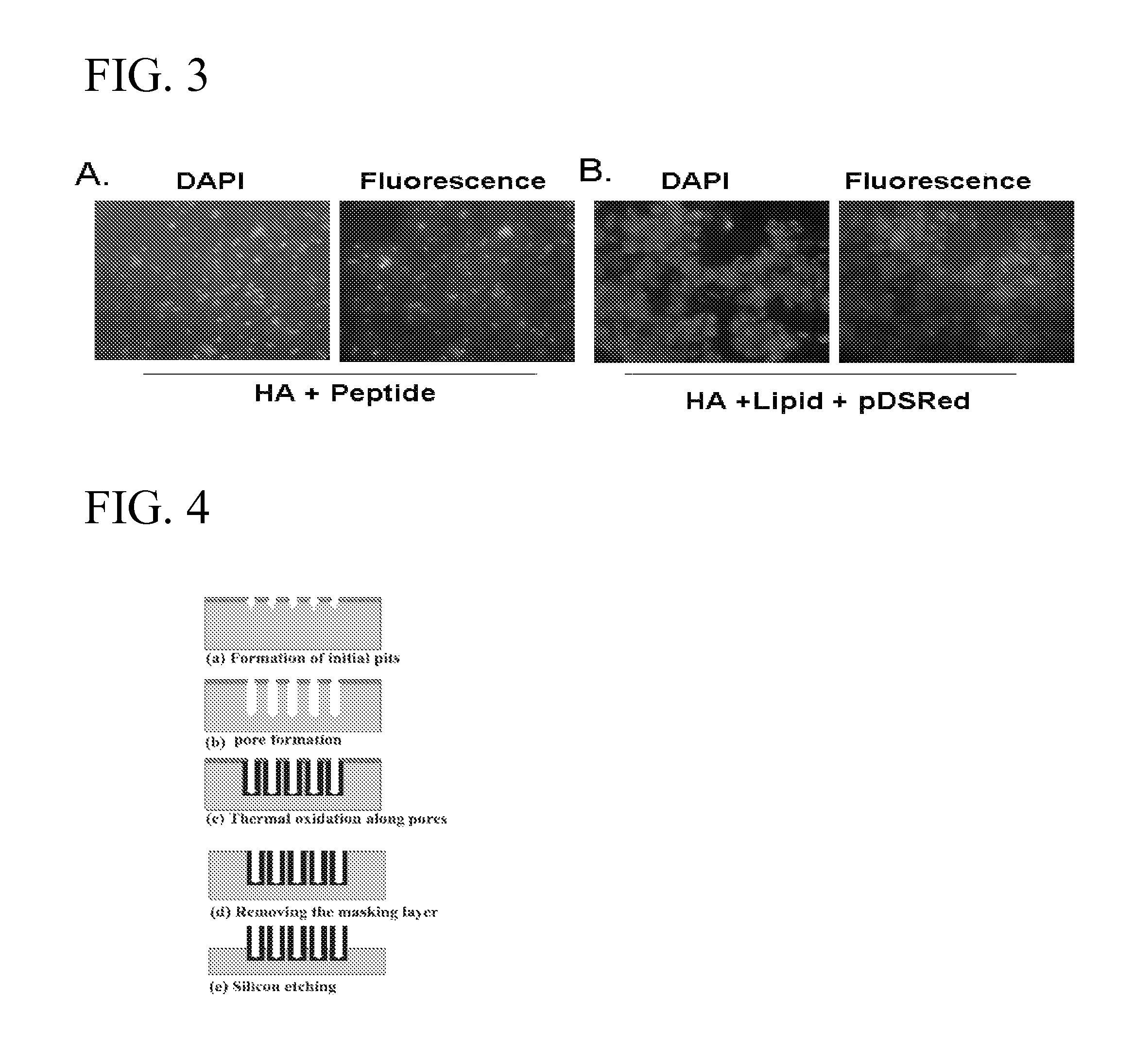 Method of transdermal drug delivery