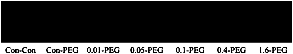 Method for improving crop stress resistance by using hydrogen sulfide donor sodium hydrosulfide