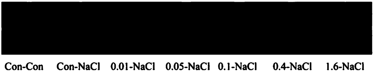 Method for improving crop stress resistance by using hydrogen sulfide donor sodium hydrosulfide