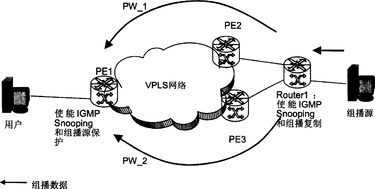 Method, apparatus and system for protecting multicast source