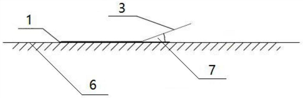 Method for protecting number of wild populations of lactariusvividus