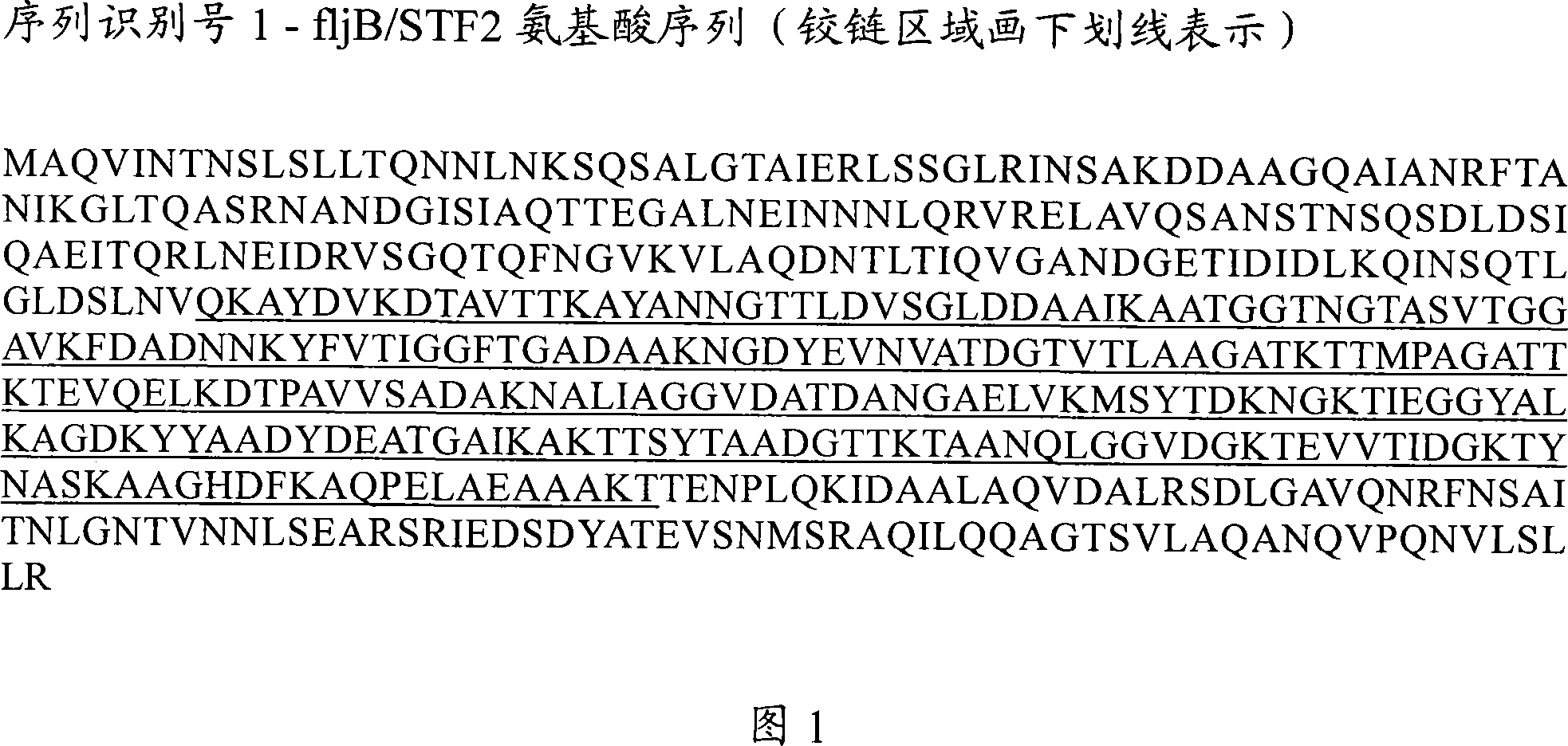 Compositions comprising pathogen-associated molecular patterns and antigens and their use to stimulate an immune response