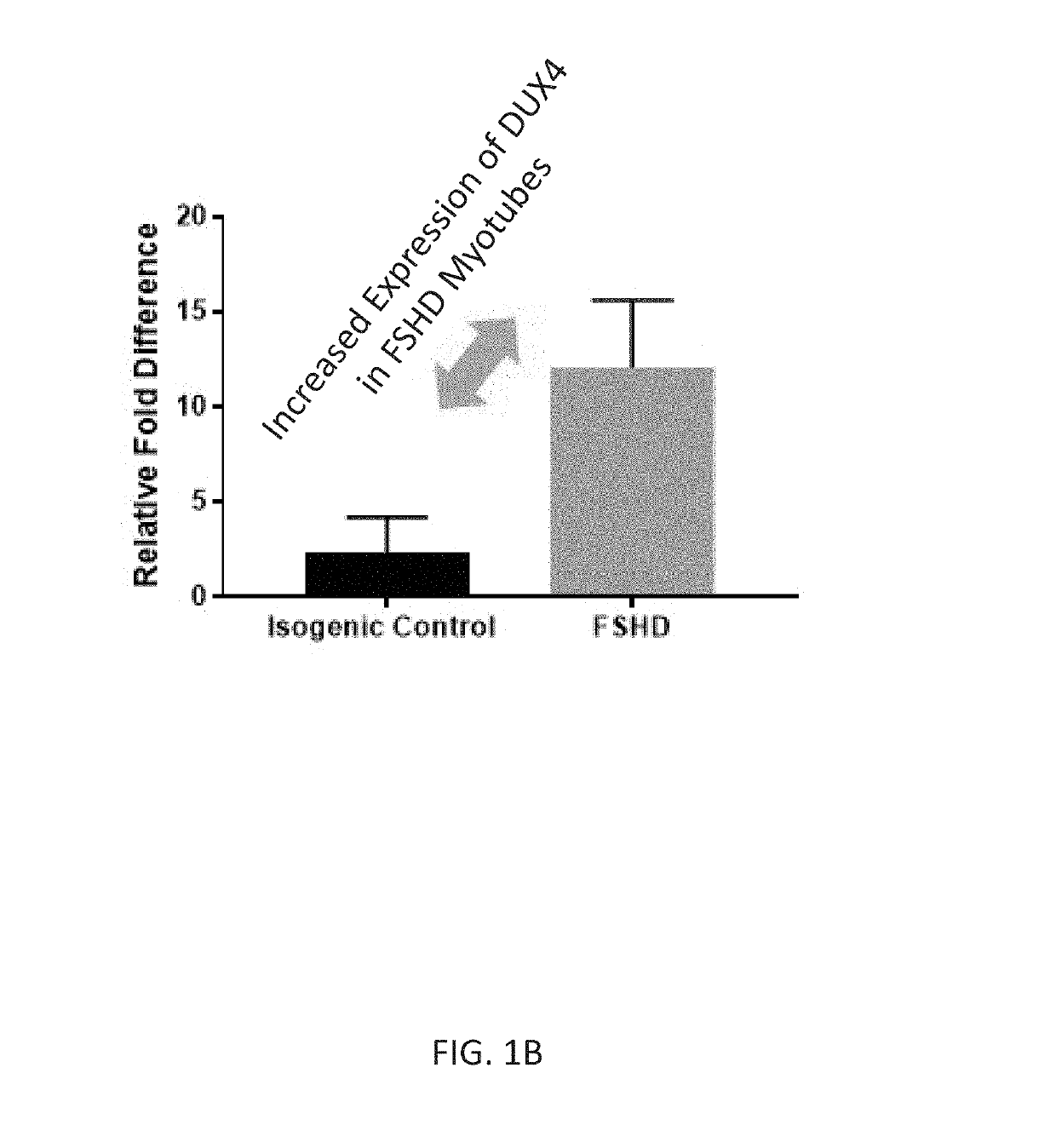 P38 kinase inhibitors reduce dux4 and downstream gene expression for the treatment of fshd