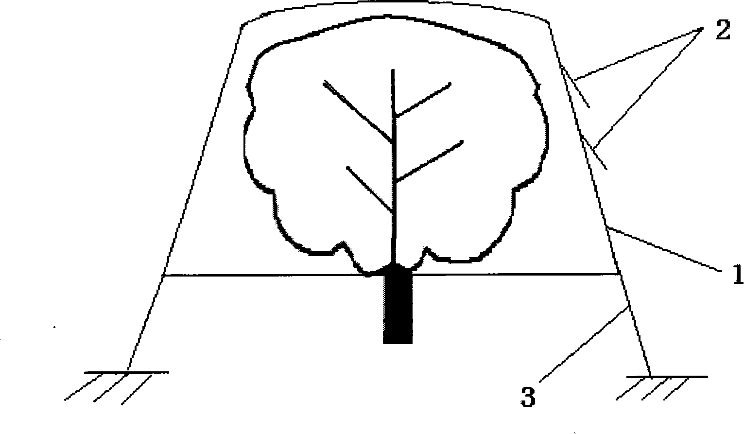 Anticracking cover for fruit of Chinese jujube