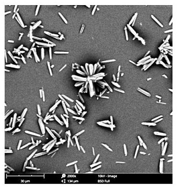 New crystal form of ertapenem sodium and preparation method thereof