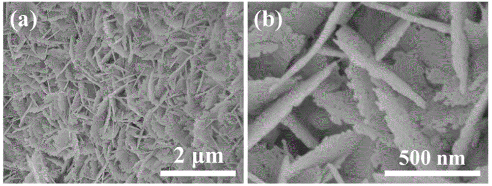 Porous NiO/CeO2 hybrid nanosheet array, and preparation method and application thereof