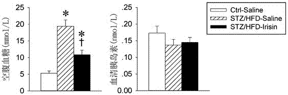 Application of irisin in the preparation of antidiabetic drugs