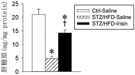 Application of irisin in the preparation of antidiabetic drugs