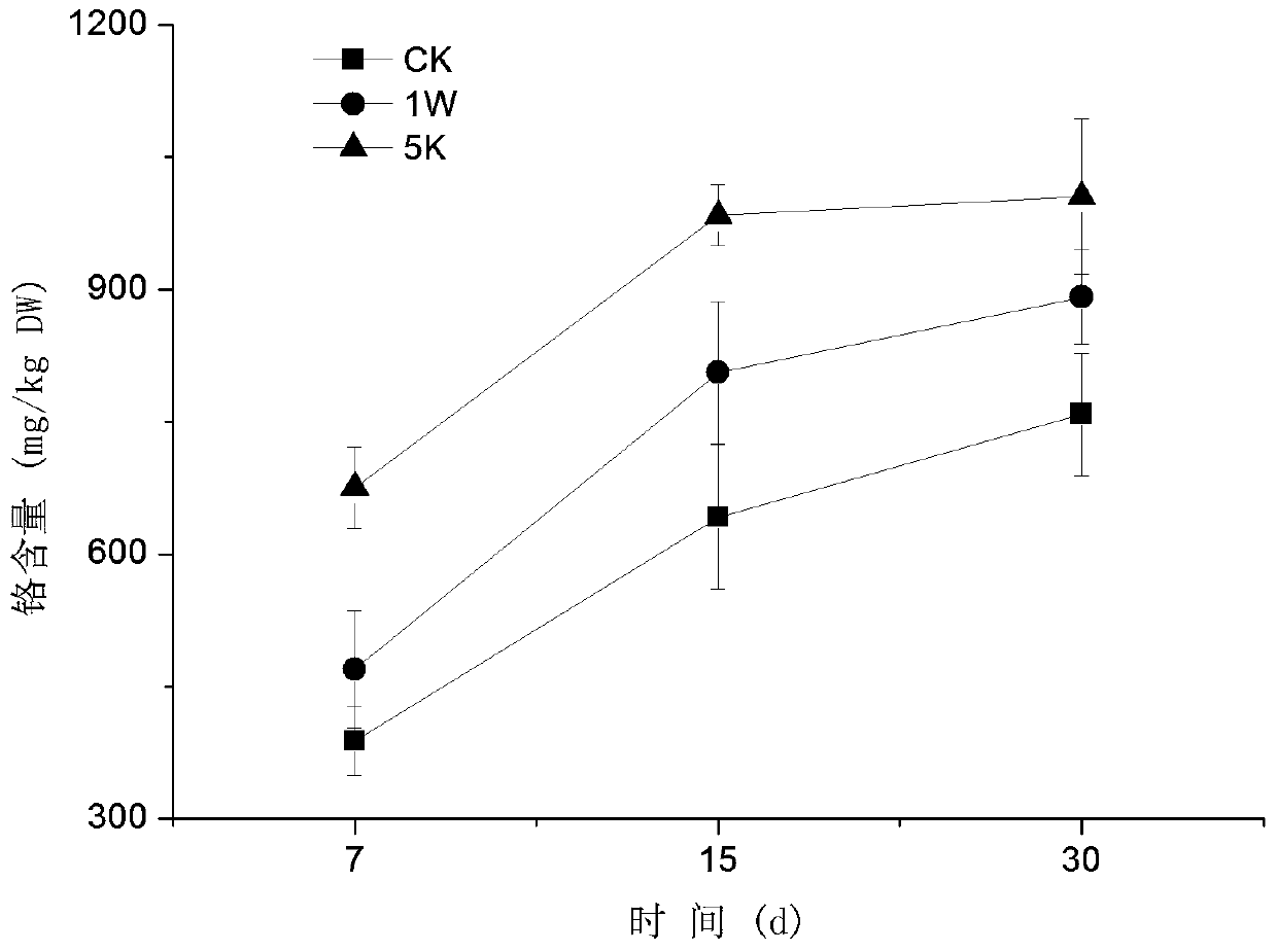 Method for improving phytoremediation efficiency of chromium contaminated soil