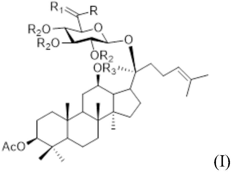 Ginsenoside CK derivative and application thereof in preparation of antitumor drugs