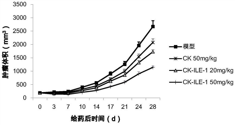 Ginsenoside CK derivative and application thereof in preparation of antitumor drugs