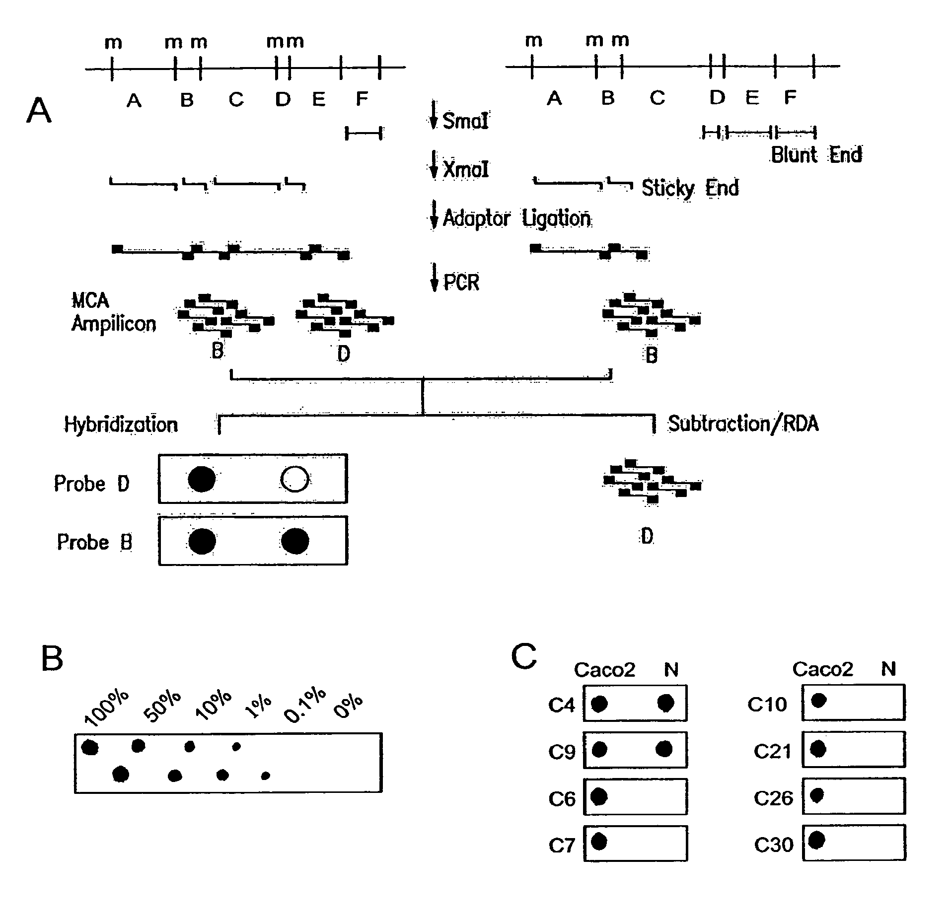 Methylated CpG island amplification (MCA)