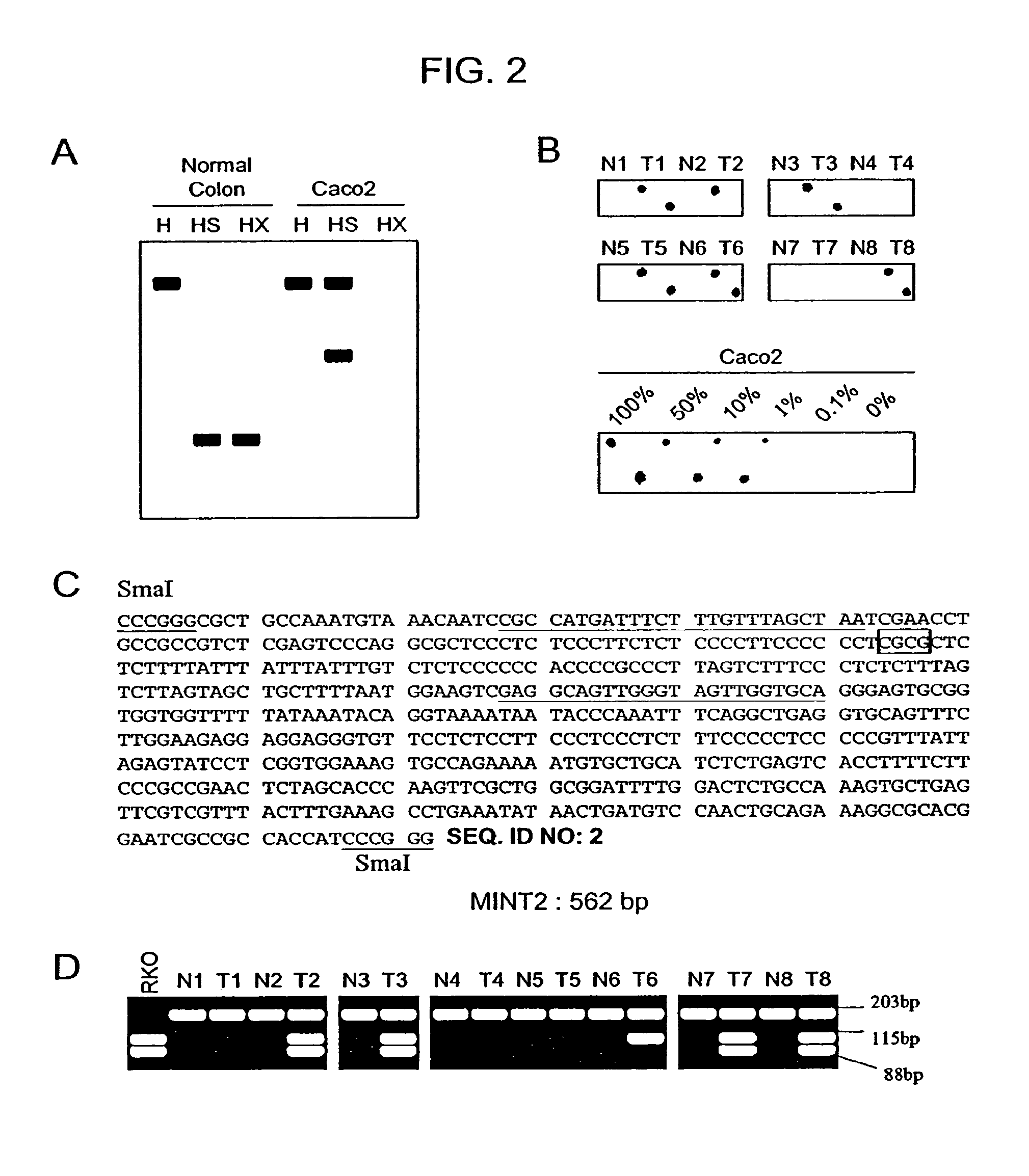 Methylated CpG island amplification (MCA)