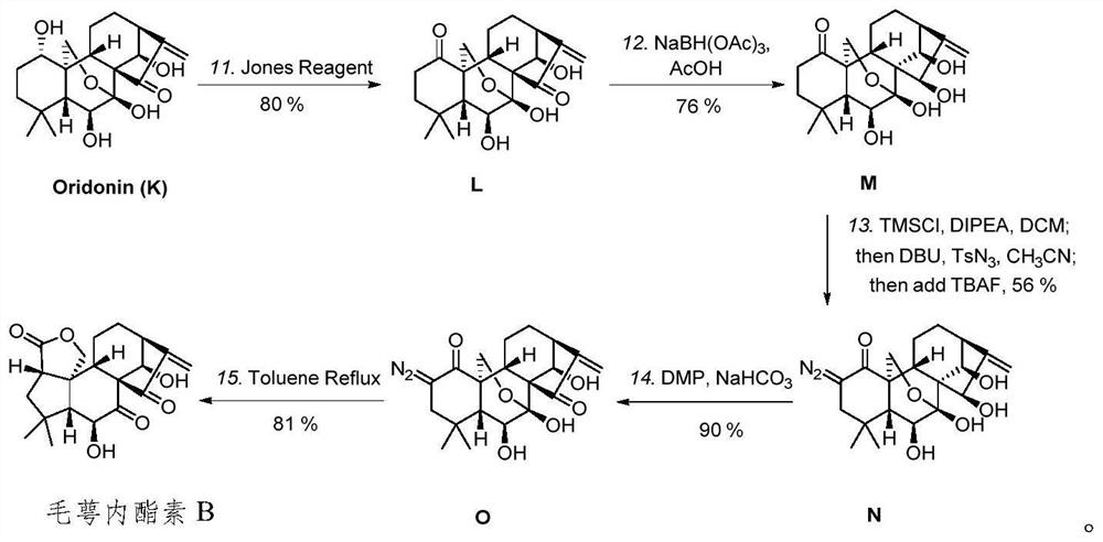 Eriocalyxin A and Eriocalyxin B and preparation method thereof