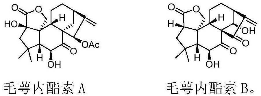 Eriocalyxin A and Eriocalyxin B and preparation method thereof