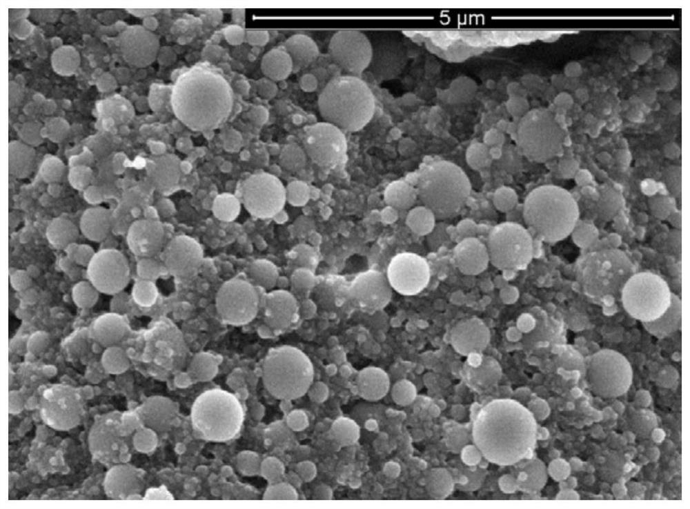 A kind of preparation method of coix seed oil nanocomposite particles