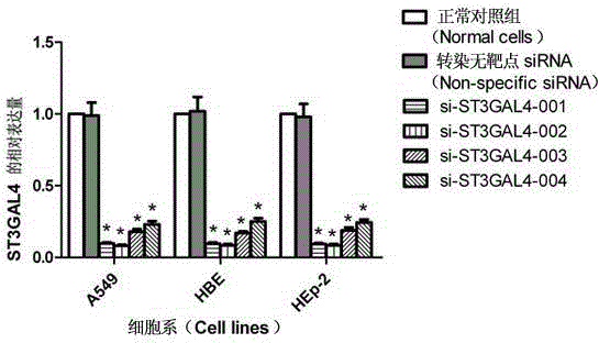 siRNA capable of preventing and treating influenza, its pharmaceutical composition, and its medicinal use