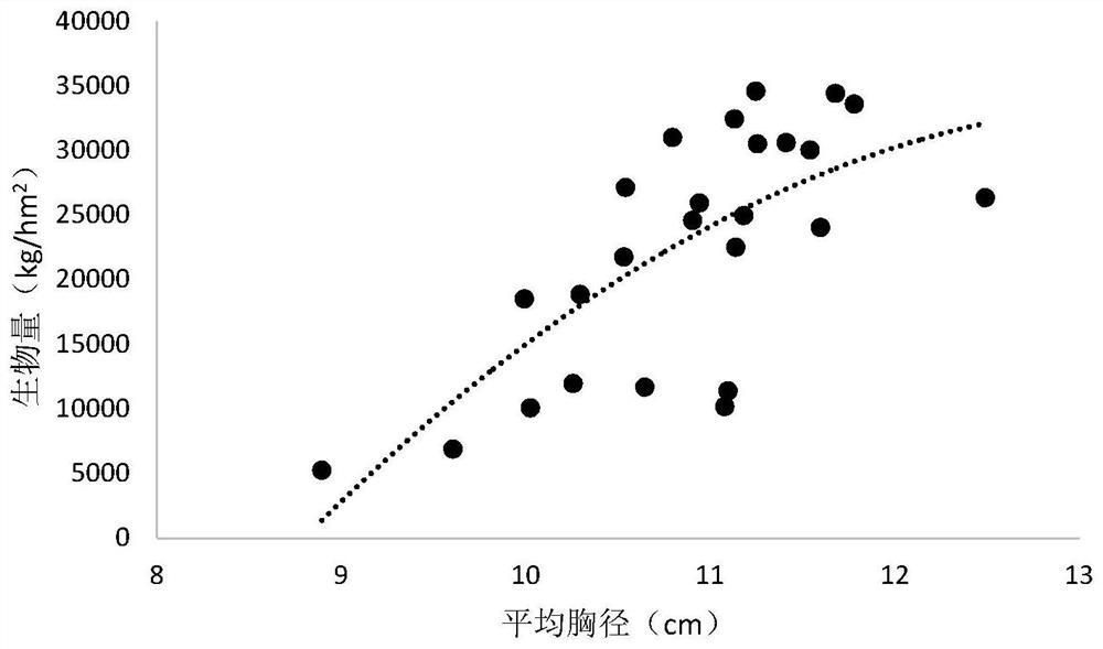 Method for improving carbon reserve of phyllostachys edulis forest