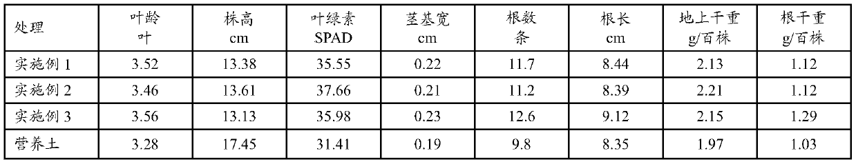 Rice seedling raising medium and production method thereof