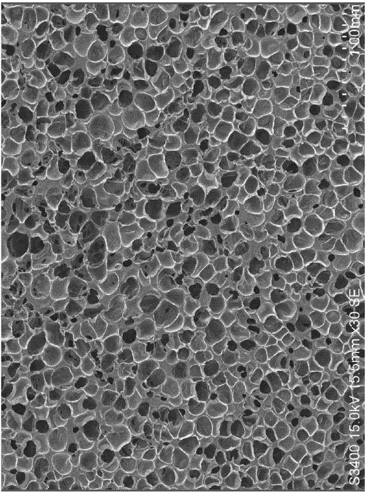 Thermoplastic micro-sac polymer elastomer material and preparation method thereof