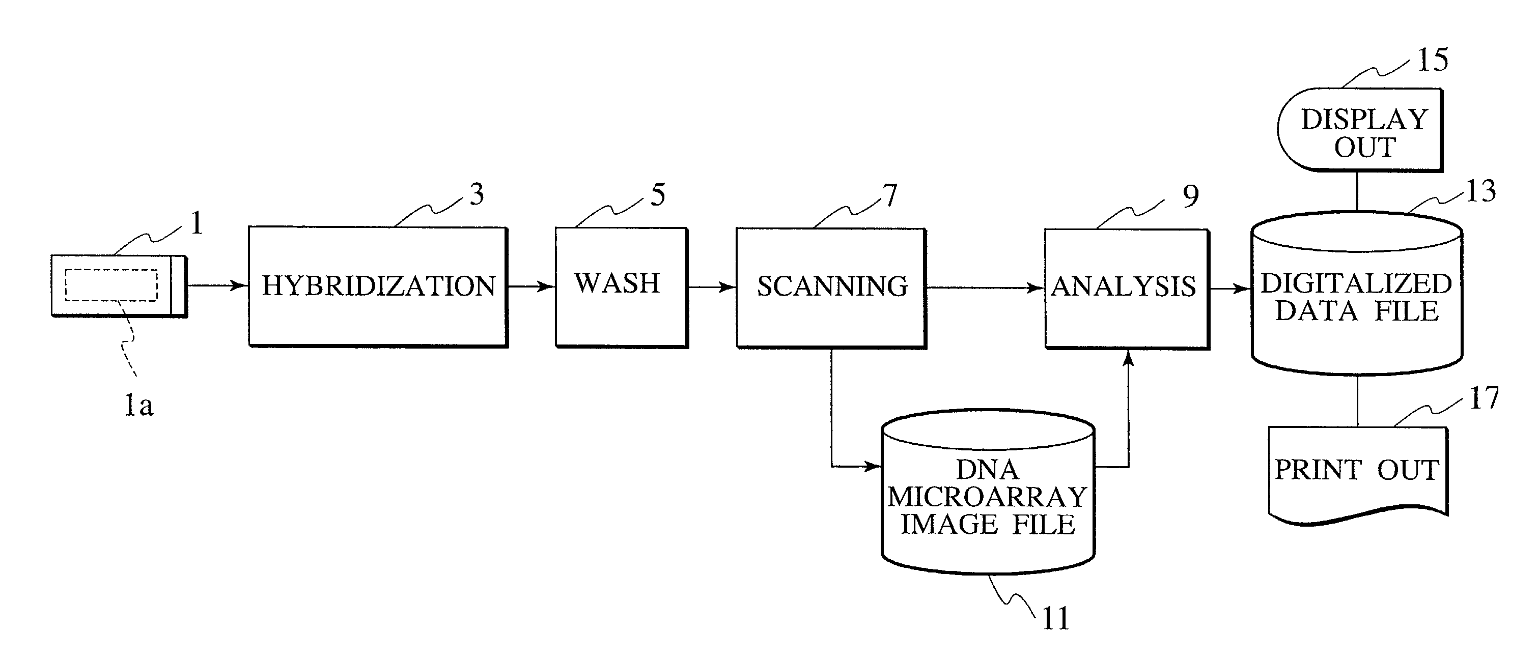 Probe reactive chip, apparatus for analyzing sample and method thereof