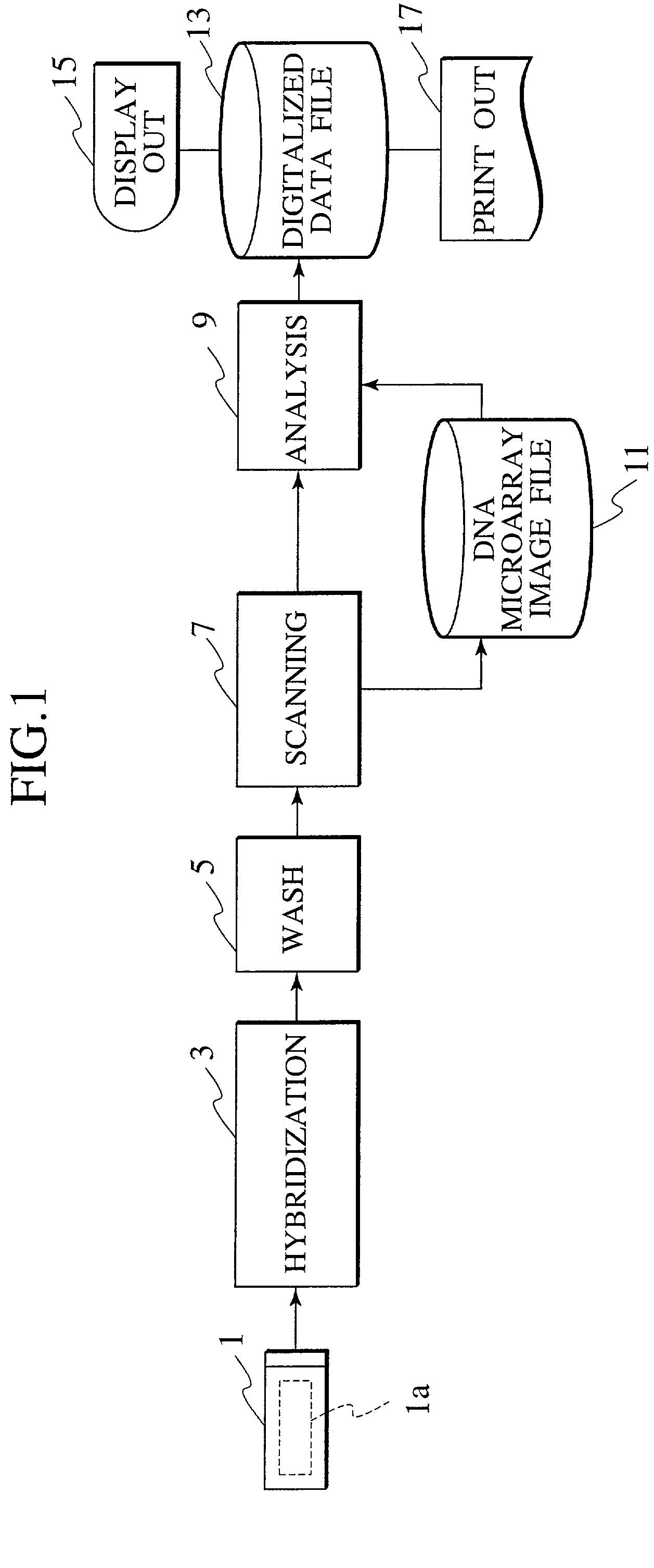 Probe reactive chip, apparatus for analyzing sample and method thereof