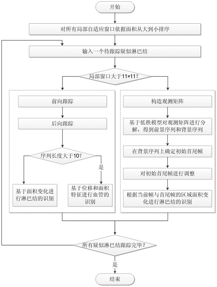 System and method for lymph node recognition in gastric CT images based on low-rank decomposition