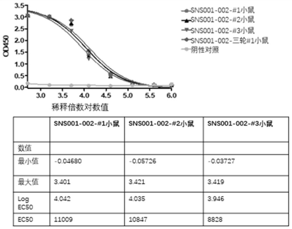 CD123 binding protein, CAR containing CD123 binding protein and application thereof