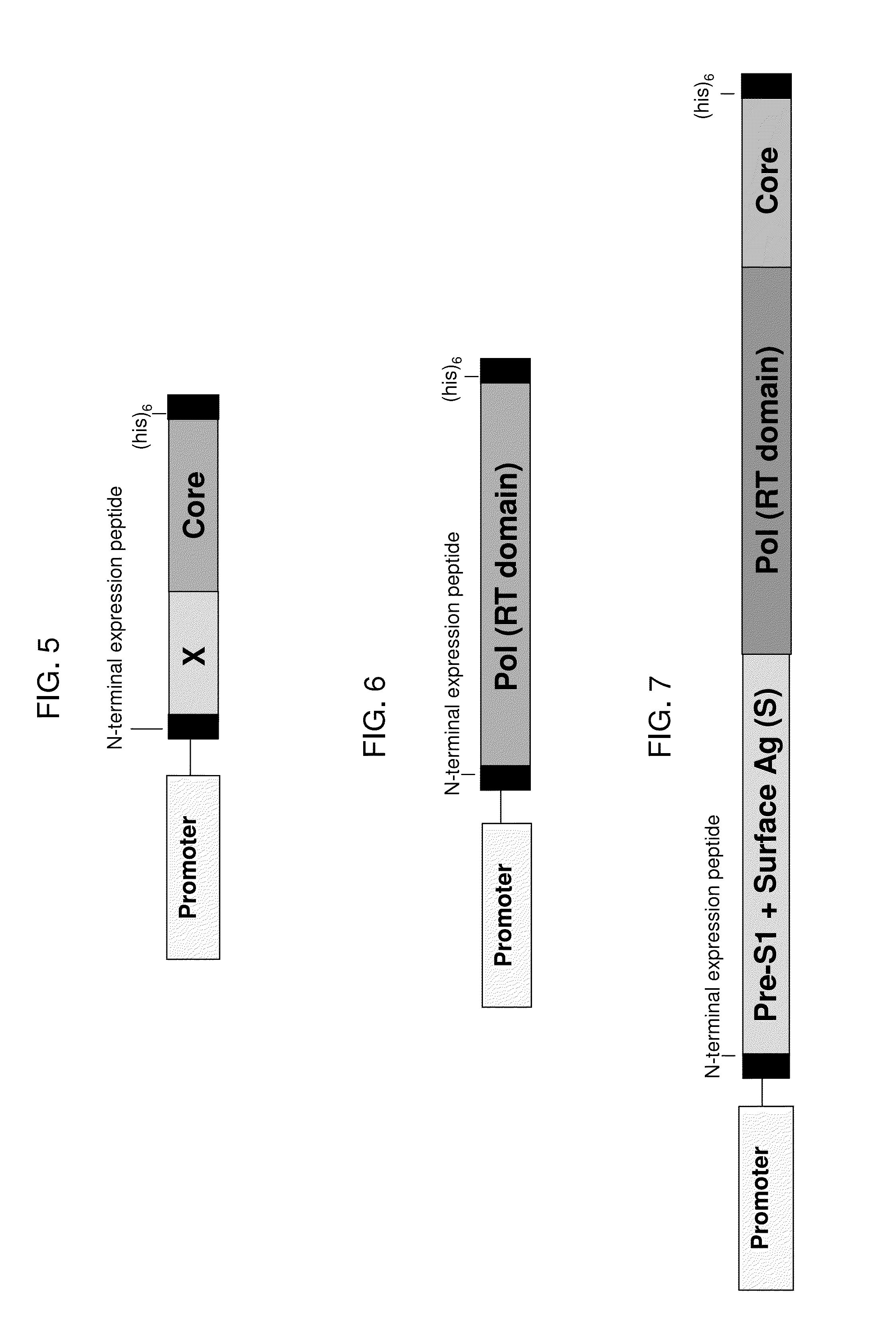 Compositions and Methods for the Treatment or Prevention of Hepatitis B Virus Infection