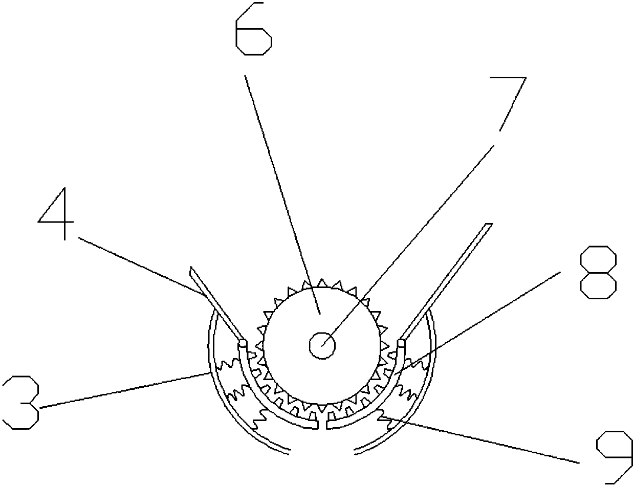 Efficient broking, opening, flotation and impurity removal device for pine nut processing