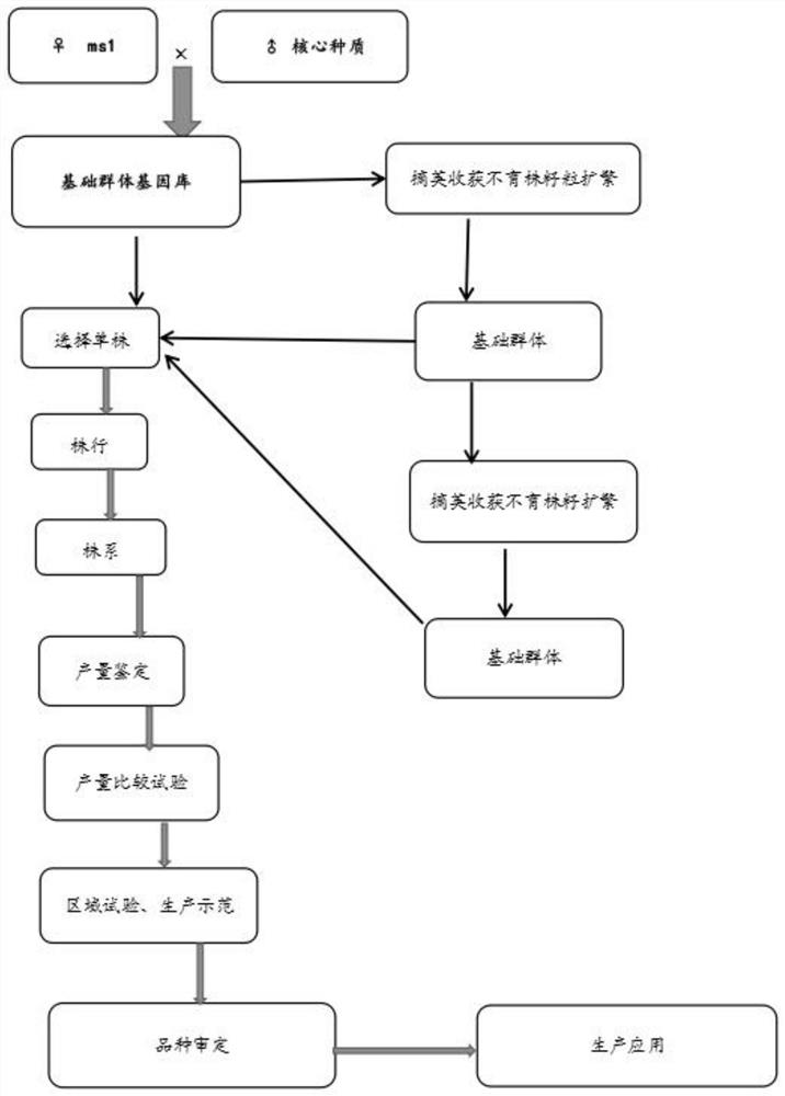 Breeding method for creating new soybean germplasm