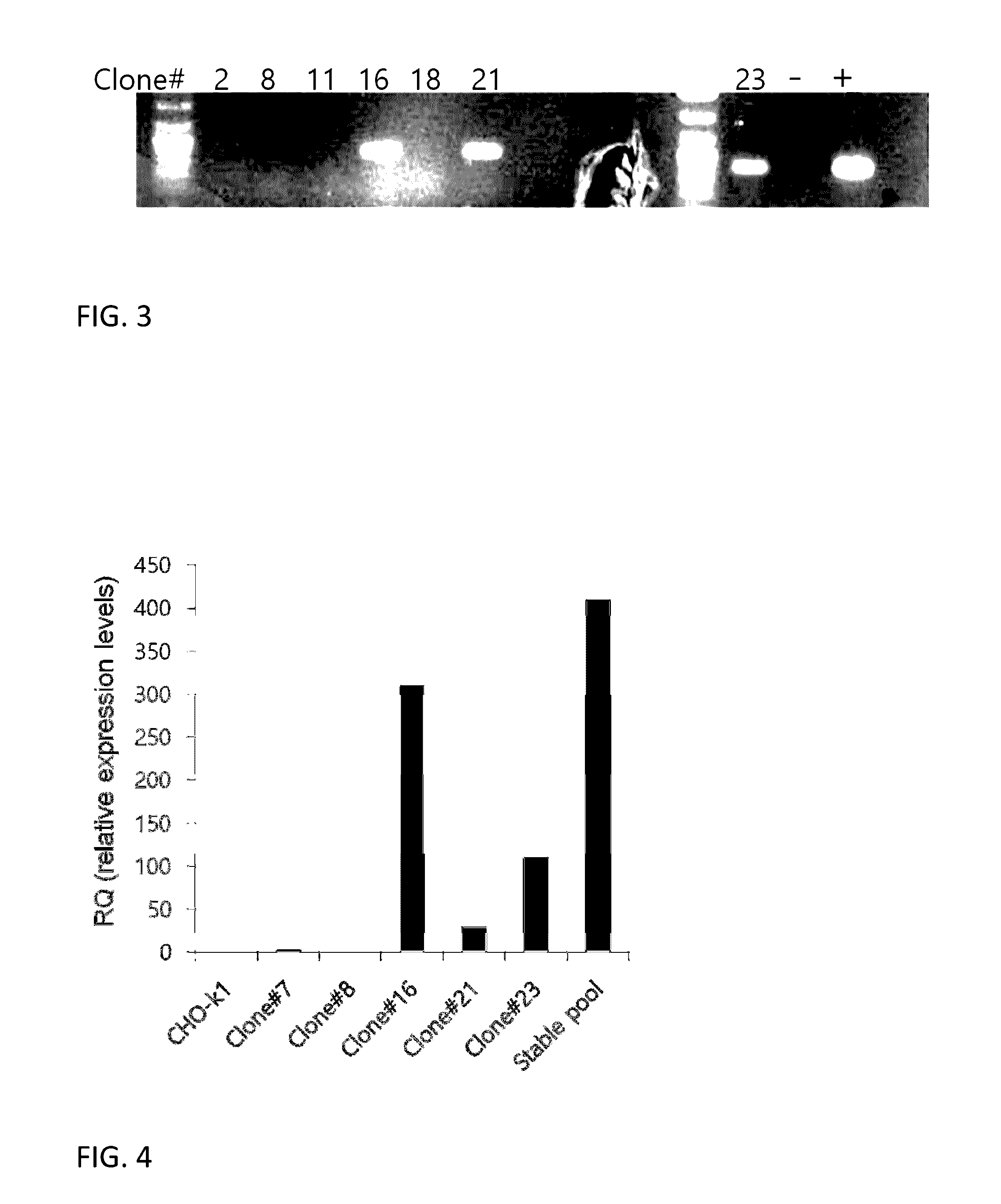 VP16-CREB fusion gene