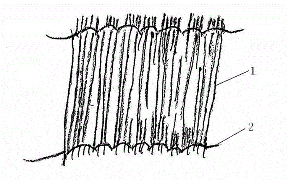 Tree insulation, disinsection and insect prevention method