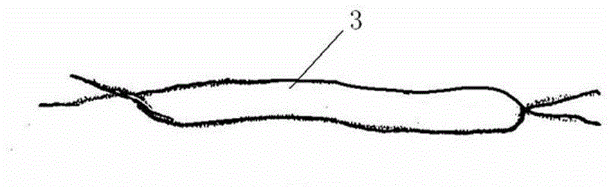 Tree insulation, disinsection and insect prevention method