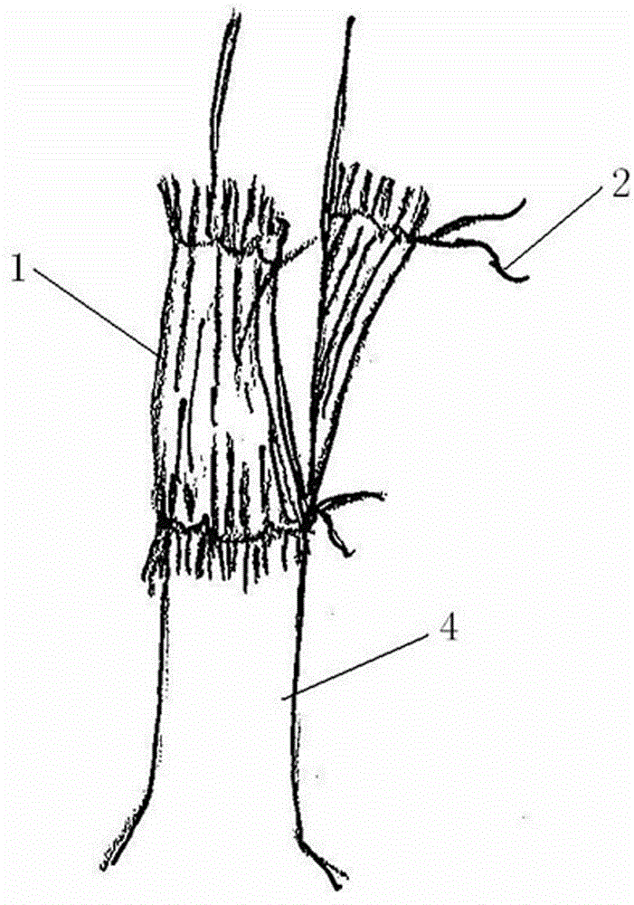 Tree insulation, disinsection and insect prevention method