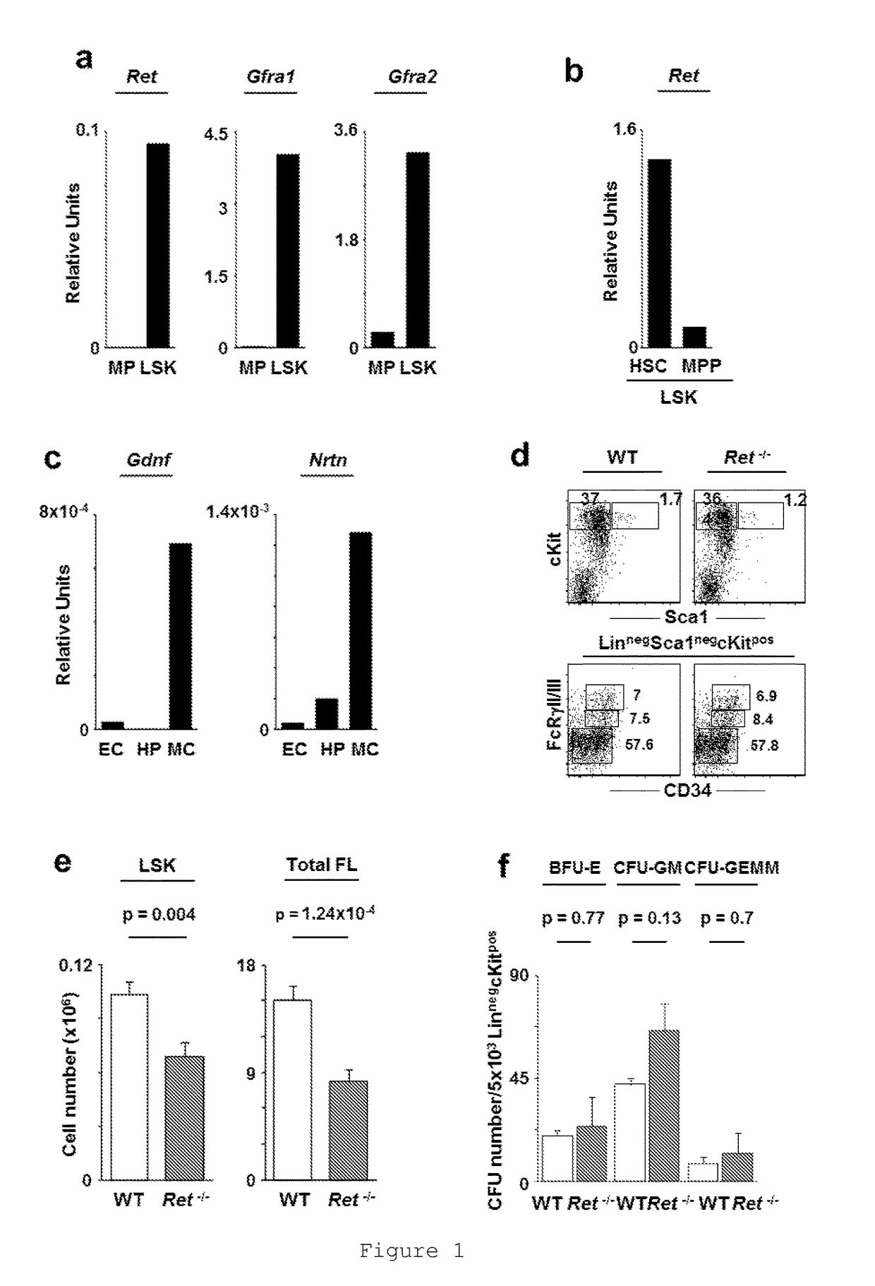 Use of RET agonist molecules for haematopoietic stem cell expansion protocols and transplantation therapy and a RET agonist kit