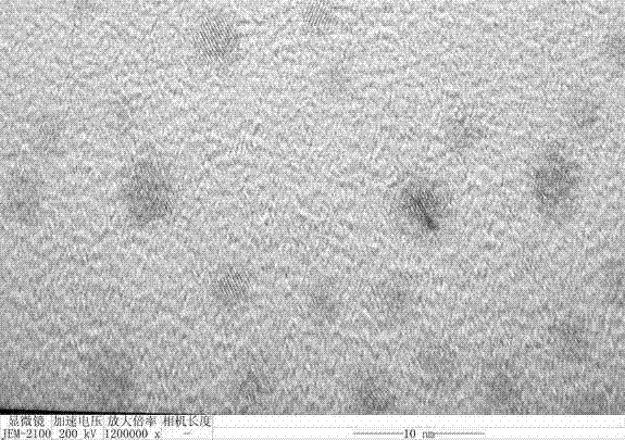 Method for preparing selenium nano-particles by taking secretion of microbial cells as matrix