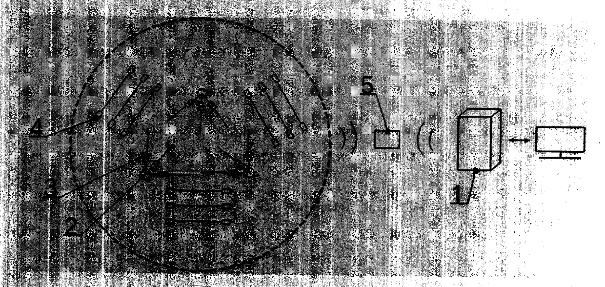 Stereo automatic sleep type anti-theft and anti-robbing system