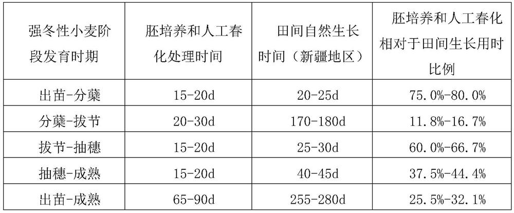 Method for accelerating crossbreeding process of strong winter wheat in four generations in one year in embryo culture technology